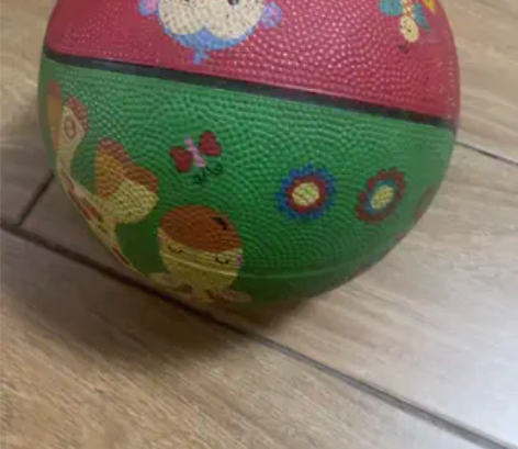 费雪皮球，实体店58买的，规格17厘米，气...