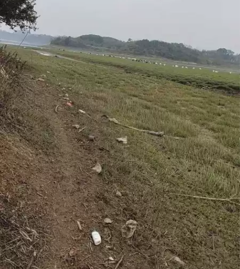 放羊咯 感兴趣的话点“我想要”和我私聊吧~...