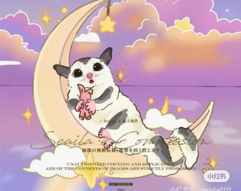 【标价～】q版手绘宠物头像小动物画像定制 ...