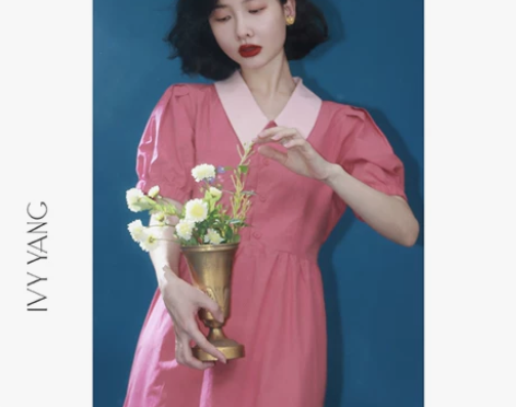 IVY YANG 刺绣翻领连衣裙女夏季复古...