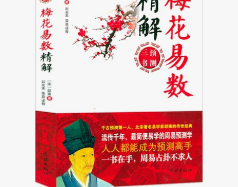 梅花易数精解 邵雍著中国哲学书籍 感兴趣的...
